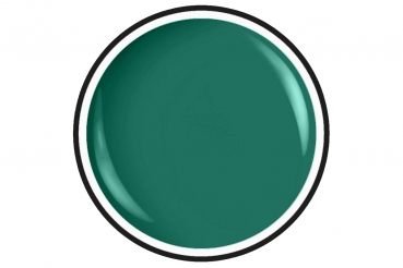Painting Colour Gel Nr.30 Plankton 5ml